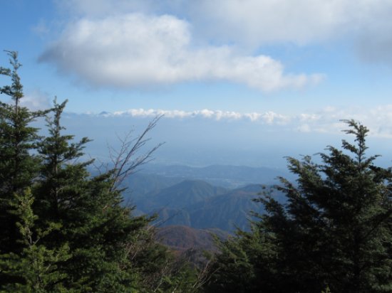 画像29